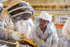 Beekeeping Classes