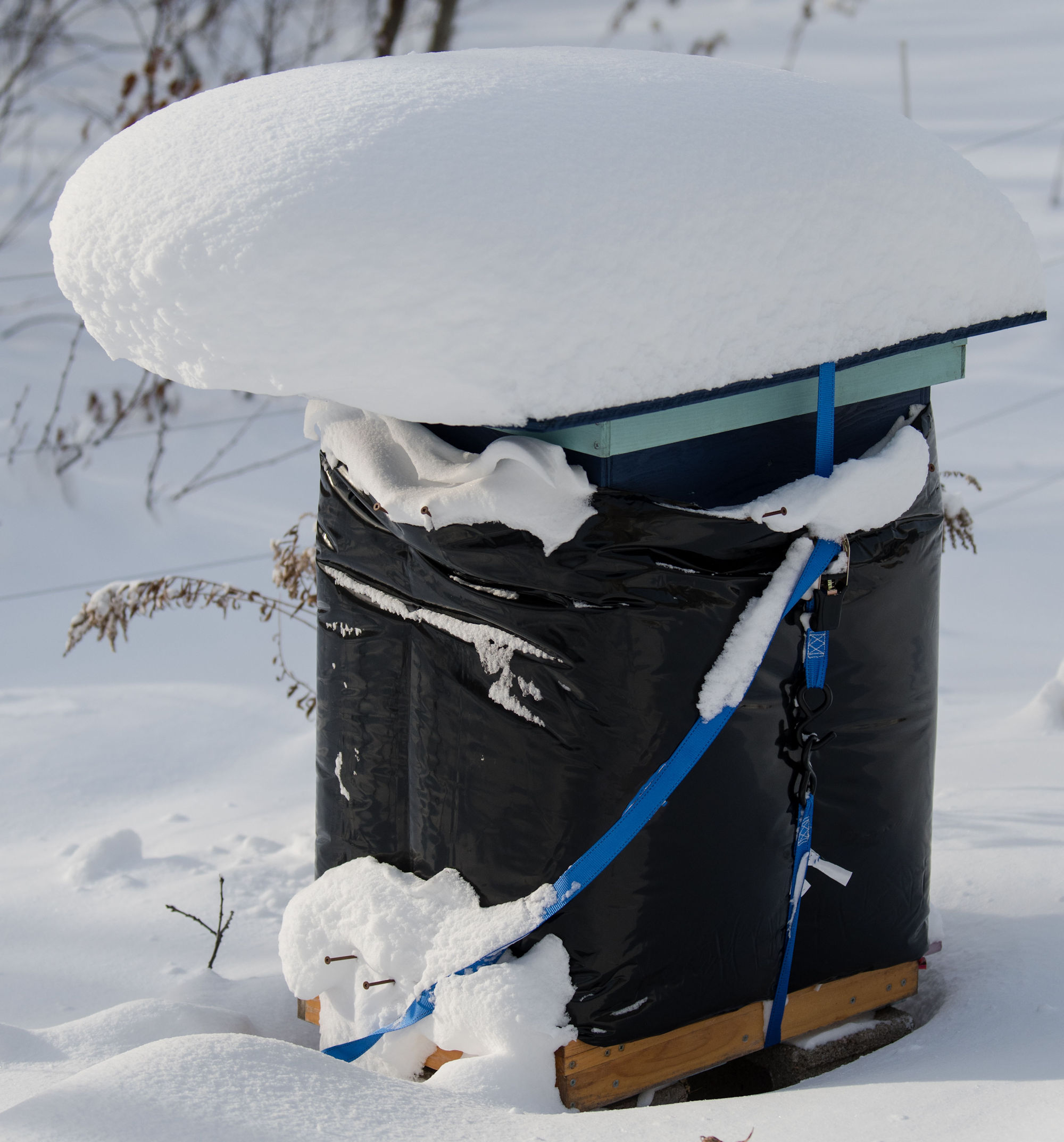 Chapter 9 – Preparing for overwintering and seeing the results in the Spring